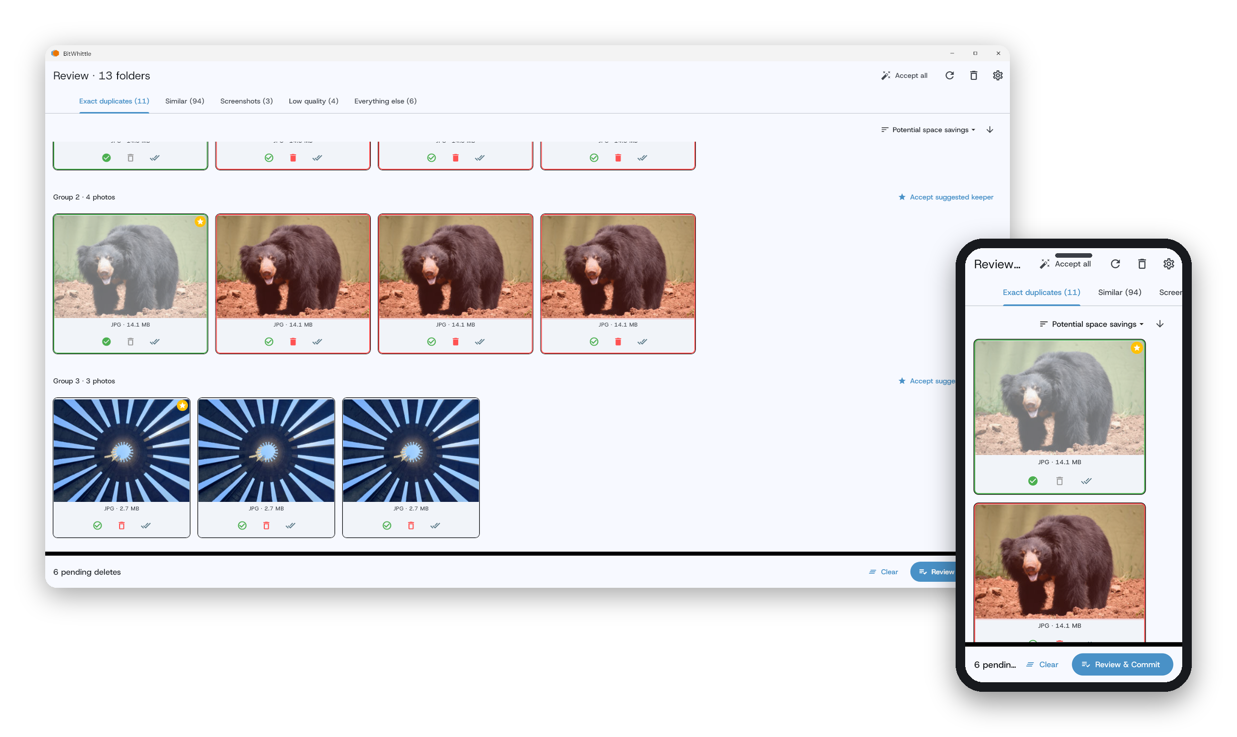 BitWhittle duplicate photo finder showing a group of similar photos ready to review before deletion.
