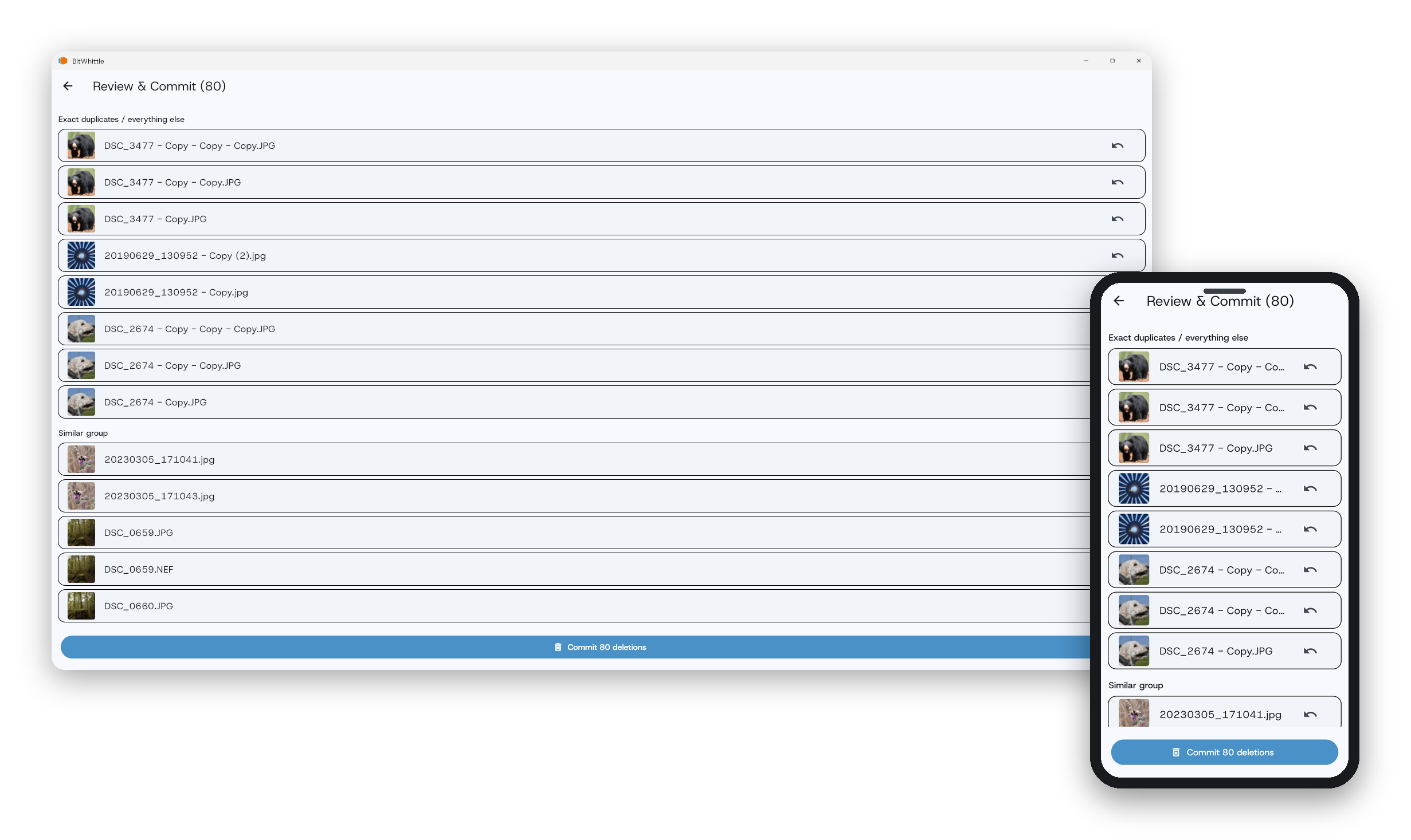 Dry-run preview screen in BitWhittle showing which duplicate and similar photos are queued for removal before any files are deleted.