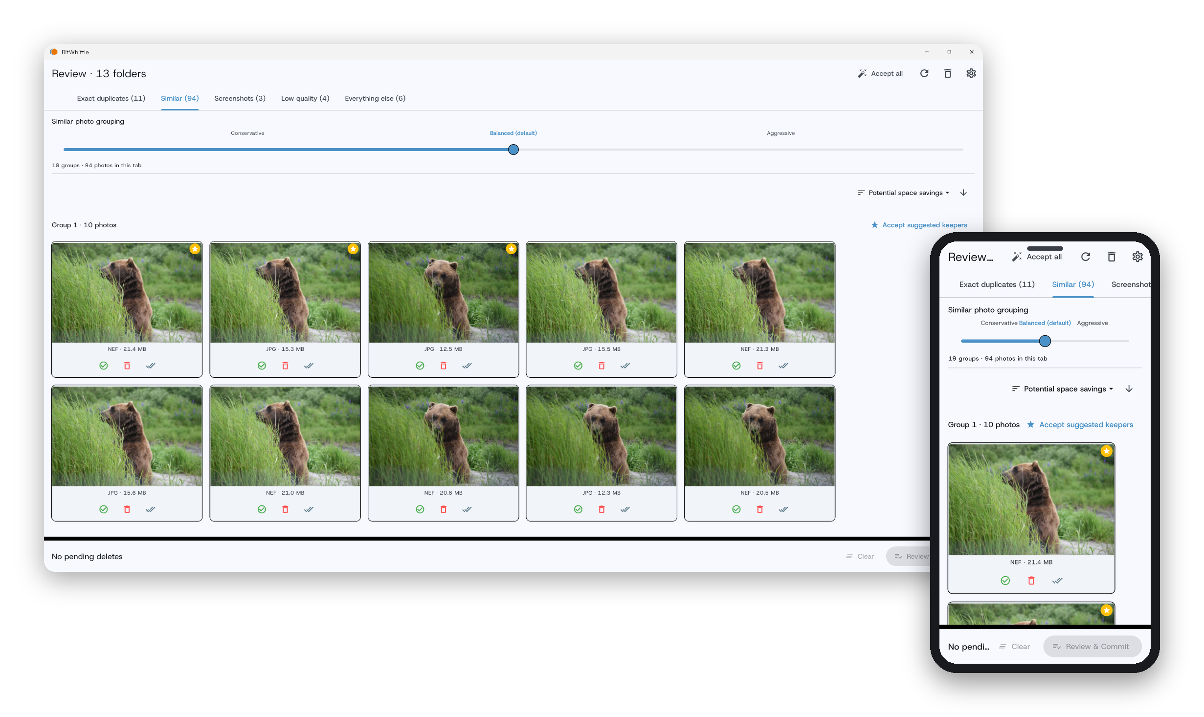 Similarity matching settings in BitWhittle, showing Conservative, Balanced, and Aggressive presets used to find similar photos.